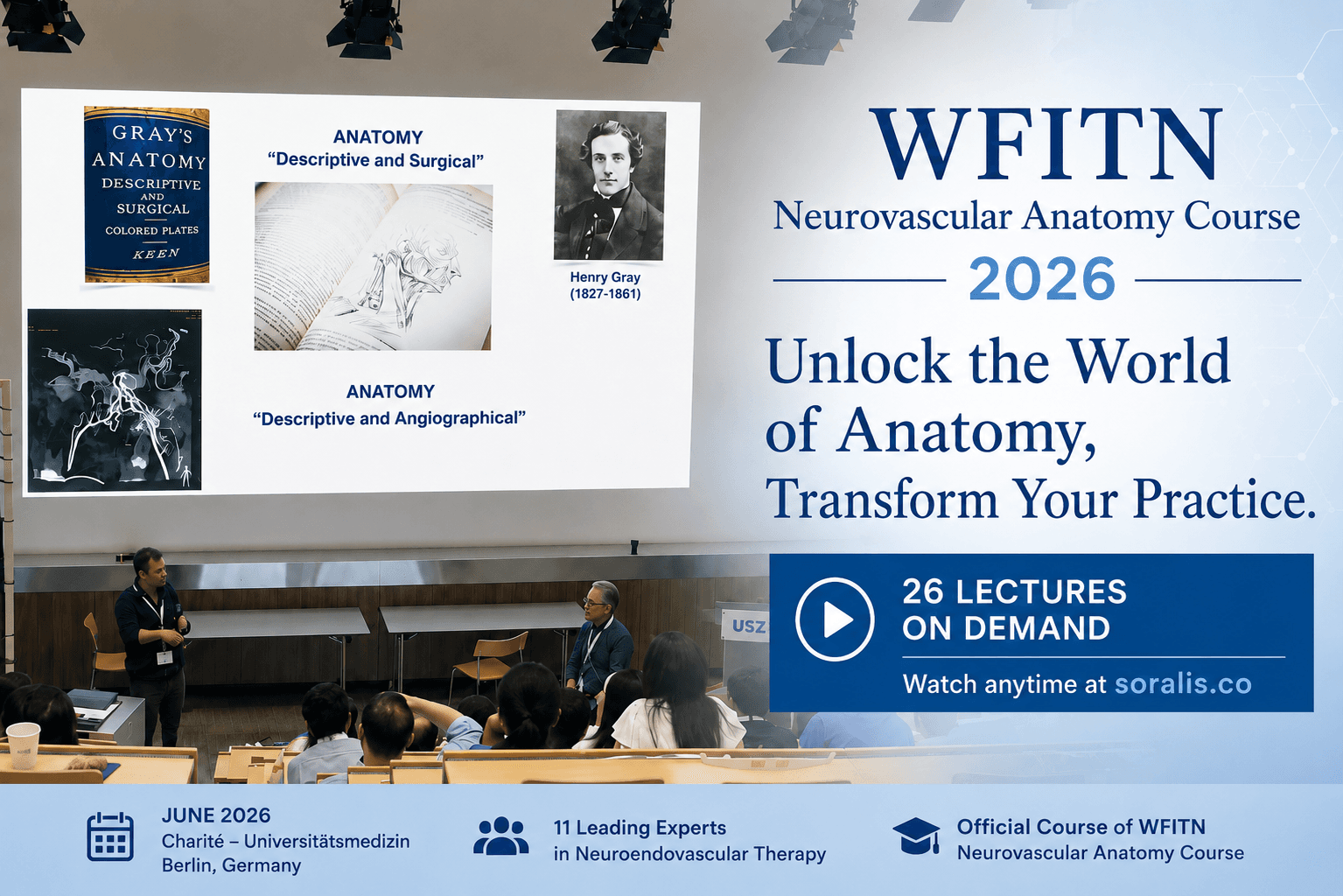 Course visual for WFITN Neurovascular Anatomy Course 2026