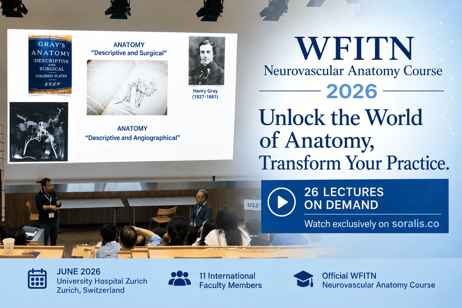 Course visual for WFITN Neurovascular Anatomy Course 2026